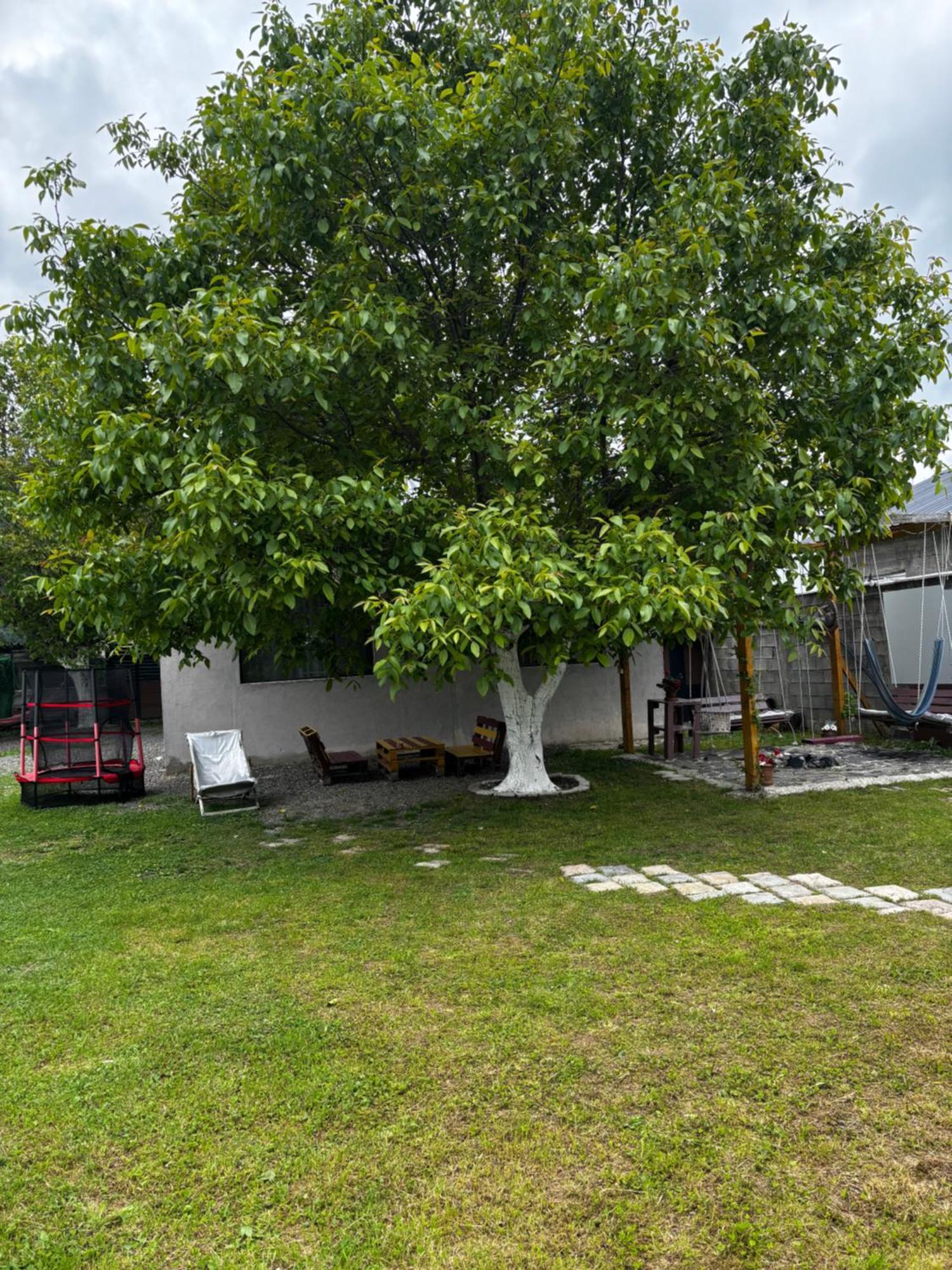 Kesi'S House Βίλα Borjomi Εξωτερικό φωτογραφία
